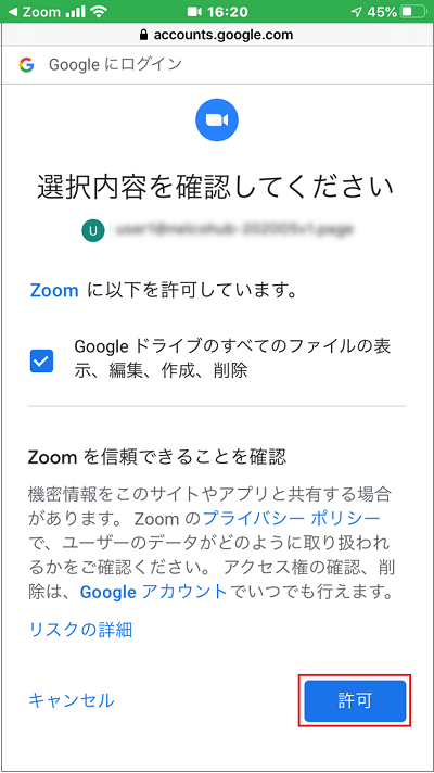 Zoom_Google_Drive9.png